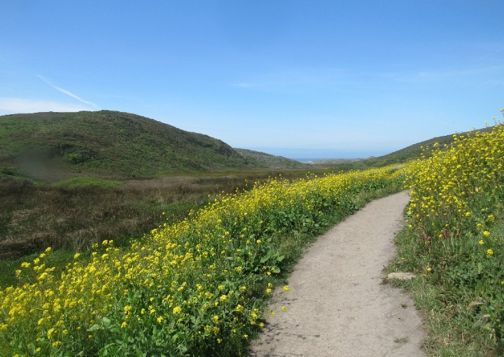 Marin County